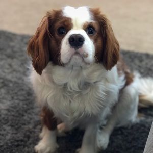 Meet your Posher, Jackie